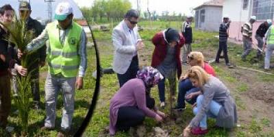 BAFRA ORMAN İŞLETME MÜDÜRLÜĞÜNDEN DESTEK