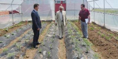 NERDE TARIM VAR BEN ORDA VARIM DEMELİSİNİZ