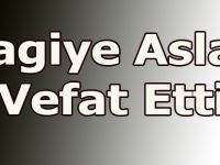 Bagiye Aslan Vefat Etti.