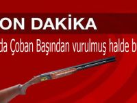 BAFRA DA ÇOBAN KAFASINDA VURULMUŞ HALDE BULUNDU