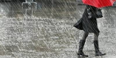 Mevsimler mi karıştı?