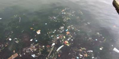 Duyarsız vatandaş her yerde aynı