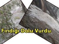 FINDIĞI DOLU VURDU