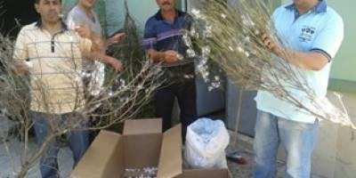 YAKAKENT’TE İPEK BÖCEĞİ YETİŞTİRİCİLİĞİ BAŞLADI