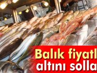 Balık fiyatları altını solladı