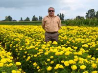 Kaymakam Aslan:Çiçek yetiştiricisi İsmail Yüksel'i ziyaret ettti