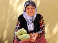 Bamya satarak hacca gitti