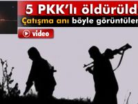 Şırnak’ta 5 PKK’lı Öldürüldü
