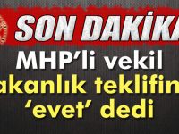 Tuğrul Türkeş 'evet' dedi