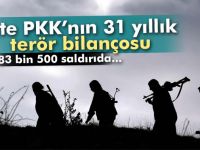 İşte PKK’nın 31 yıllık terör bilançosu