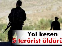 Erzincan’da yol kesen 5 terörist öldürüldü