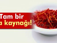 Tedavici edici baharat: Safran