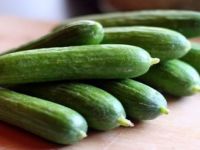 Salatalığa Selam Dur
