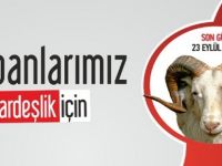 BAFRA MÜFTÜLÜĞÜNDEN 2015 YILI KURBAN AÇIKLAMASI