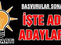 AK Parti adayları belli oldu