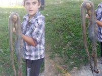 13 yaşındaki çocuk 2 metrelik yılanı öldürdü