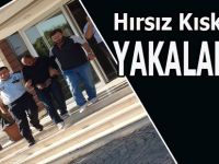 Hırsız Kıskıvrak Yakalandı.