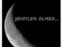 MESUT ÖZİL'DEN ŞEHİTLERE VEFA
