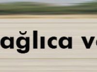 Dağlıca ve Iğdır'da 30 şehit