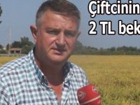 ÜRETİCİNİN ÇELTİKTE 2 TL BEKLENTİSİ