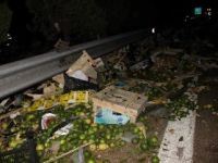 Sebze Ve Meyve Yüklü Tır Devrilince Otoban Bostana Döndü
