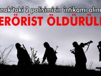 Şırnak’ta iki polisi şehit eden beş terörist öldürüldü