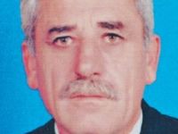 Ayı, Kurbanlık Danayı Parçaladı