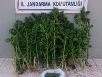 Bursa’da Uyuşturucu Operasyonu