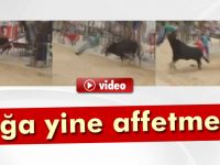 Boğanın boynuz darbeleri öldürdü