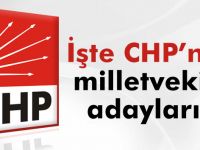 CHP'ye Bafra'dan 3 aday