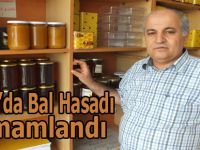BAFRA’DA BAL HASADI TAMAMLANDI