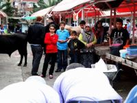 Kurban Kesimini Çocuklara İzletmeyin