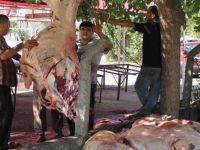 Kurban'dan manzaralar