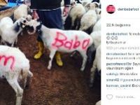 Demba Ba’dan Güldüren Bayram Mesajı