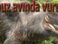 Domuz avında hayatını kaybetti