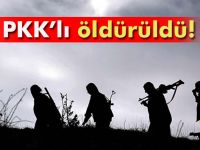 PKK'ya bir darbe daha