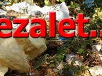 Derbent baraj kenarında mide bulandıran görüntüler