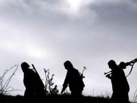 Şırnak'ta 2 terörist teslim oldu