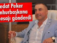 Sedat Peker'den Cumhurbaşkanı Erdoğan'a destek