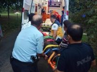 Ordu’da Pat Pat Kazası: İki Yaralı