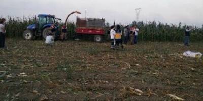 Alacam,da küçük kızın acı sonu