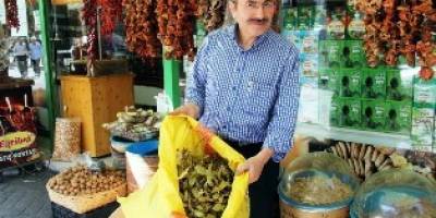 Aktarcıların Umudu “İthal Ihlamur”