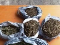 Çarşamba’da 2 Kilo 650 Gram Kubar Esrar Ele Geçirildi