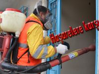 19 Mayıs’ta Haşere İle Mücadele