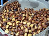 Kestane fiyatı düştü