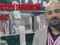 BAFRA ORNİTOLOJİ DERNEĞİNDEN BÜYÜK BAŞARI