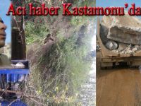 Elifli Köyünden Reşat Yanık Kaza'da hayatını kaybetti