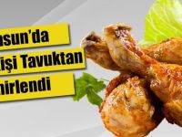 Bu kaçıncı Tavuk Vakası