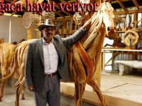AĞAÇLARIN PİCASSOSU