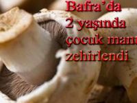 Bafra'da 2 Yaşındaki çocuk Mantardan Zehirlendi